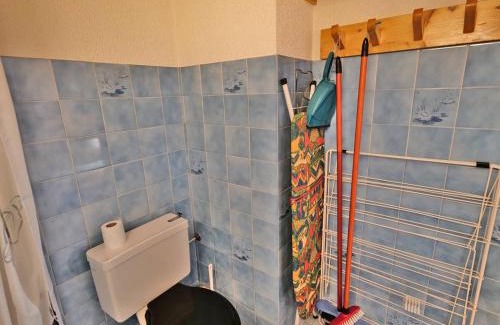 Le Grand-Bornand Apartment | Agréable studio + coin montagne pour 4 personnes, quartier calme, balcon et parking - FR-1-458-111