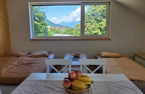Ljubljana Apartment | Agregat