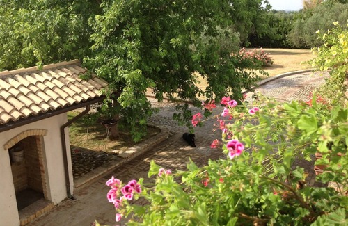 Cepagatti Other | AGRITOURISM "SANTA FELICITA"