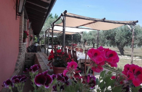 Cepagatti Other | AGRITOURISM "SANTA FELICITA"