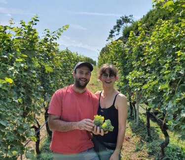 Ville del Monte House | Agritur Calvola