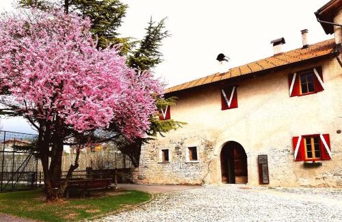 Casez House | Agritur Ciastel