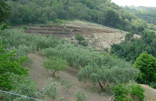 Santa Cristina Gela House | Agriturismo Al Poggetto