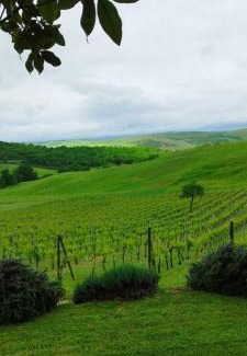 San Quirico d'Orcia House | Agriturismo Bagnaia