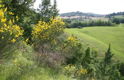 Selvapiana Apartment | Agriturismo Coradosso "Il Fienile"