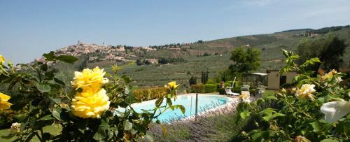 Bovara Apartment | Agriturismo Fiordaliso