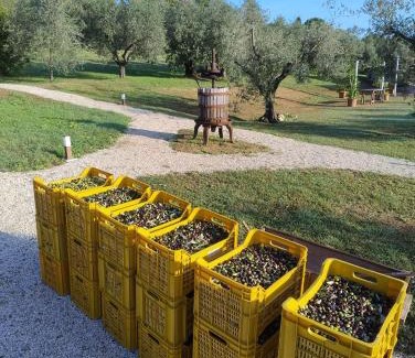 Fano Apartment | Agriturismo Frutti Antichi - Melograno