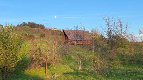 Bertinoro Other | Agriturismo Glamping Pettirosso