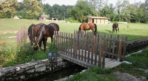 Oleggio House | Agriturismo Helianthus