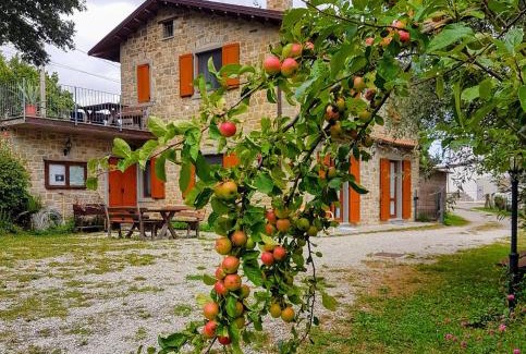 Corrubbio di Negarine House | Agriturismo Il Falco del Monte Fumaiolo