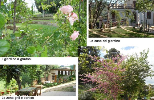 Rotella House | Agriturismo Il Palmarone