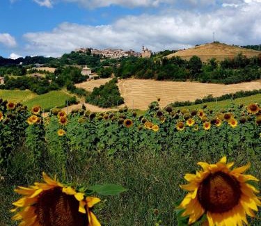 Cossignano House | Agriturismo la casa degli amici