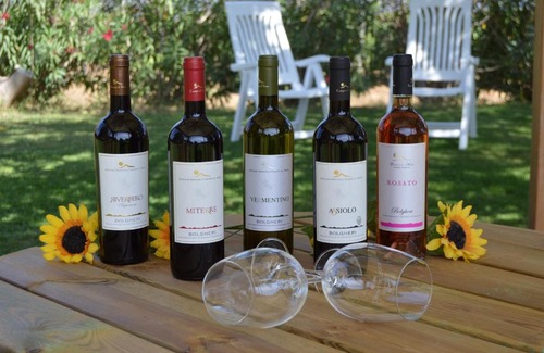 Bolgheri I House | Agriturismo La Rondine
