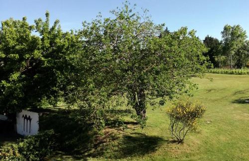 Oriolo dei Fichi House | Agriturismo Morattina