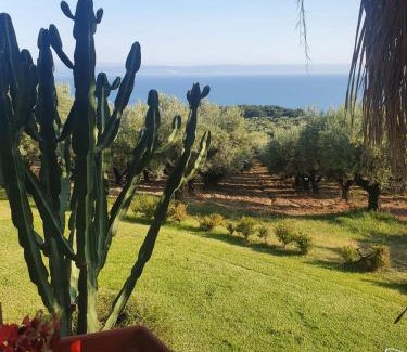 Gizzeria House | Agriturismo Parco degli Ulivi