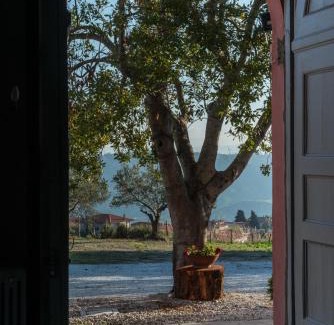 Marcellinara House | Agriturismo Piano del Monaco