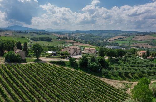 Offida House | Agriturismo San Nicolino