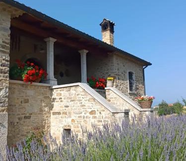 Gesualdo House | Agriturismo Torre Gialluise