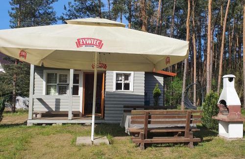 Lipusz Cabin | Agro Breza- domki letniskowe