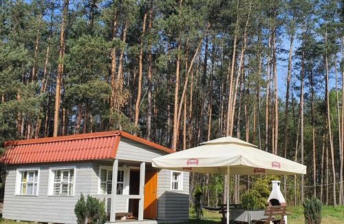Lipusz Cabin | Agro Breza- domki letniskowe