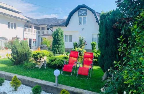Prundu Bargaului House | Agropa Rooms & Garden Events