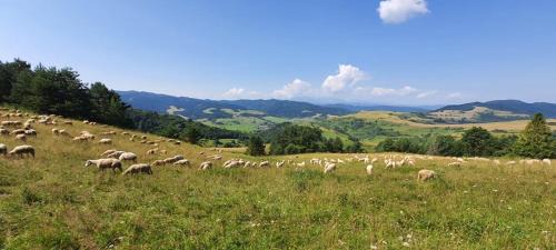 Velky Lipnik House | Agrorelax