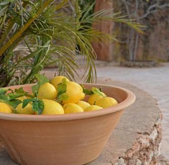 Felanitx House | Agroturismo Sa Pletassa