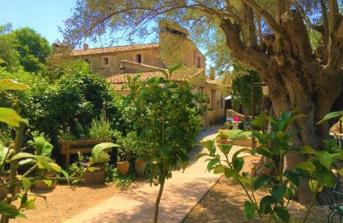 Alaro House | Agroturismo Son Penyaflor