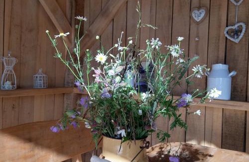 Sztutowo Bed & Breakfast | Agroturystyka Cold Sea