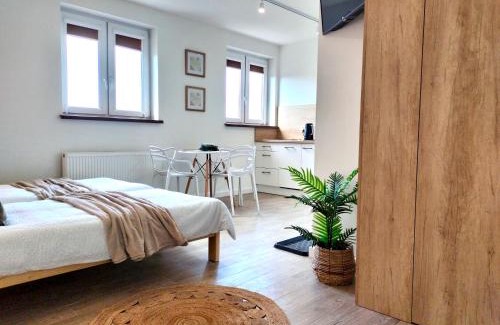 Beczkow House | Agroturystyka Jodłowa - rodzinne apartamenty w centrum Gór Świętokrzyskich - sala zabaw, zwierzęta, bilard