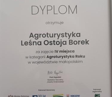 Bydlin Apartment | Agroturystyka Leśna Ostoja Borek