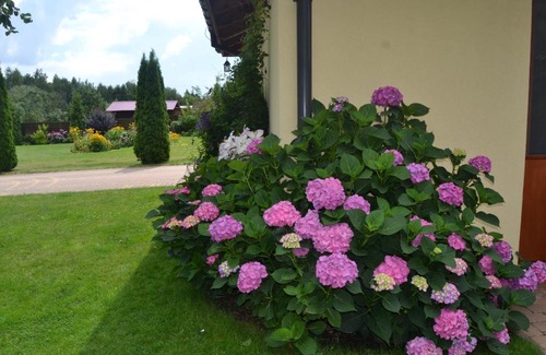 gmina Wielgie House | Agroturystyka nad Jeziorem Orłowskim