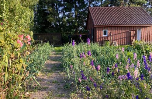 Czluchow House | Agroturystyka Omelia
