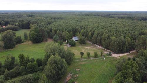 Miedzichowo House | Agroturystyka PLENER