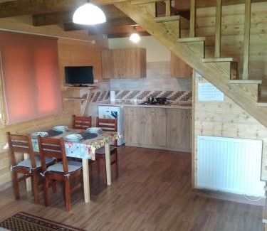 Solina Ski Chalet | Agroturystyka Pod Bocianami Terka