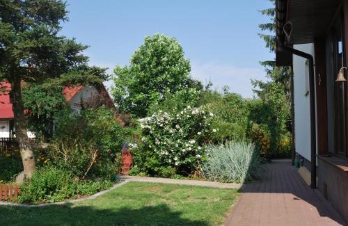 gmina Policzna House | Agroturystyka pod Czarną Sosną