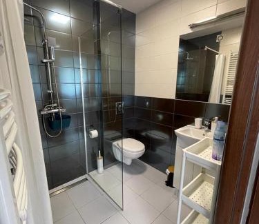 Jezow Sudecki Apartment | Agroturystyka pod niebieskim dachem