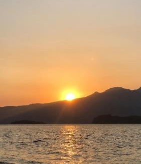 Morong Apartment | AGTA Nest Loft in Subic Bay with Self-Serve Breakfast - WiFi, Monkeys, Pet Friendly with a Fee