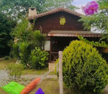 Agva Ski Chalet | Agva Secret Yard Log Villa, On The River Bank!