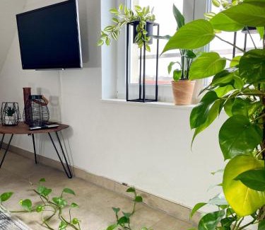 Ahaus Apartment | Ahaus: Stadtoase mit Terrasse & privater Garage