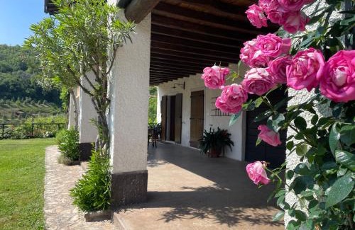 Ome House | Ai Bonde