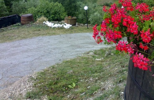 Casalbore Bed & Breakfast | Aia di Lazzaro Country House