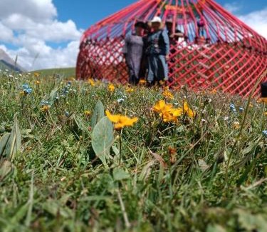 Naryn Region House | Aigul Yurt Camp