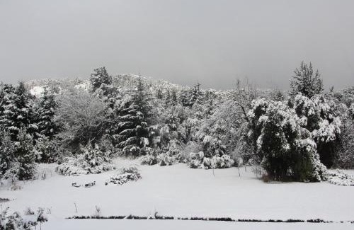 Villa Catedral Ski Chalet | Ailín Maiá Apartamentos Casa de Montaña