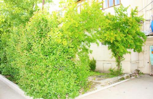 Ganja Apartment | Ailə evi