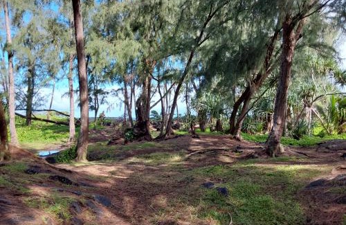 Ainaloa House | Ainaloa home of big island for King-size bedroom
