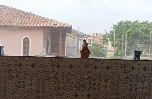Portinho House | Airy house surrounded by greenery and fruit trees.