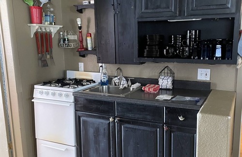 Leadville North Cabin | Air Capitol Cottage Leadville -great location-backyard-great for kids & pets