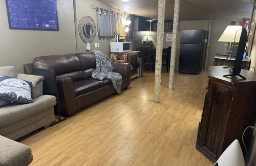 Leadville North Cabin | Air Capitol Cottage Leadville -great location-backyard-great for kids & pets