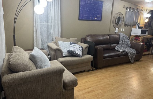 Leadville North Cabin | Air Capitol Cottage Leadville -great location-backyard-great for kids & pets